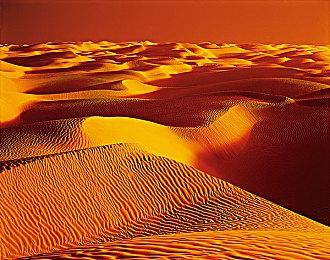 《没人想死》配置需求公布 1660S即可运行