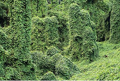 生存城市建设游戏《耀斑纪元》将于2024年1月18日进入抢先体验